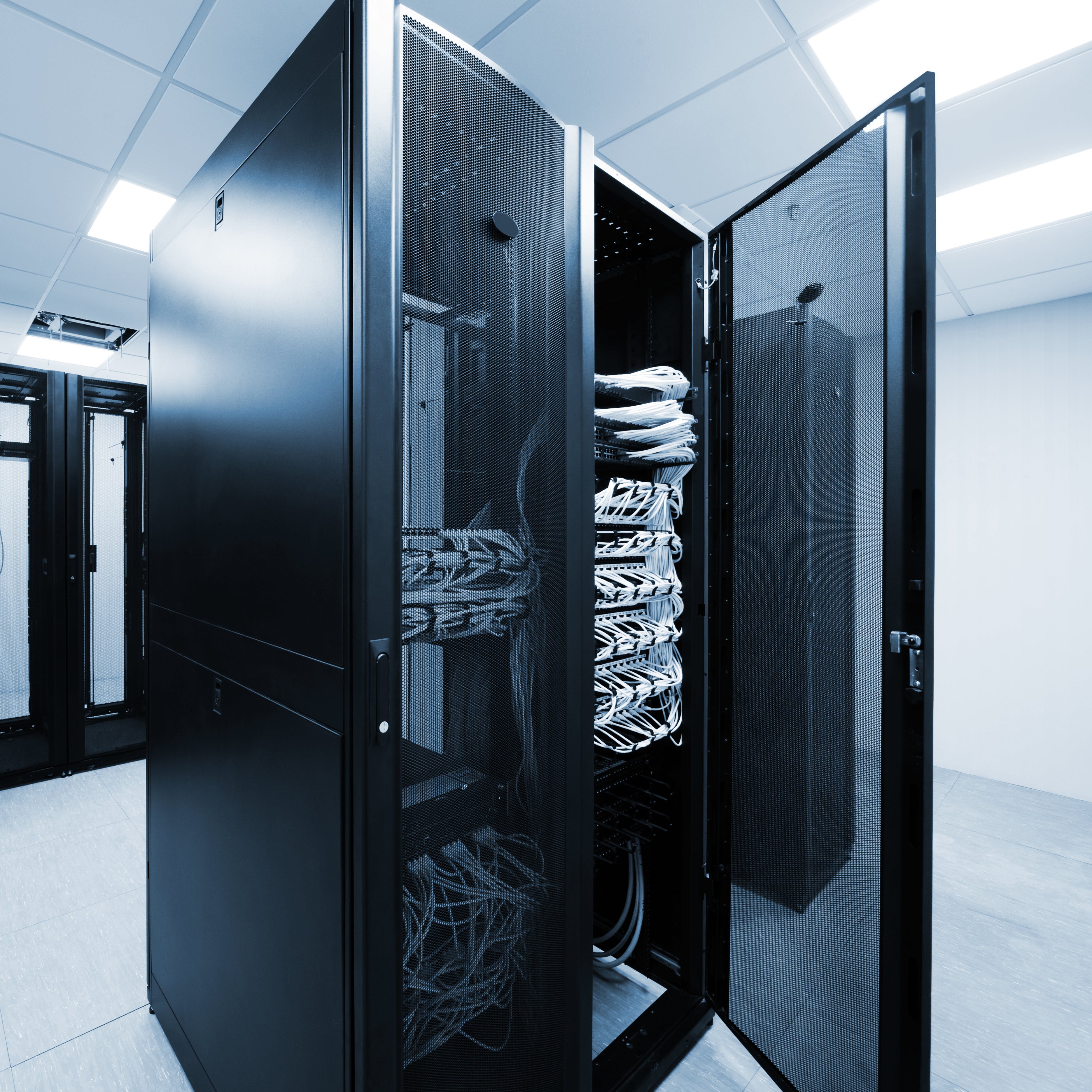 Data Racks & Cabinets