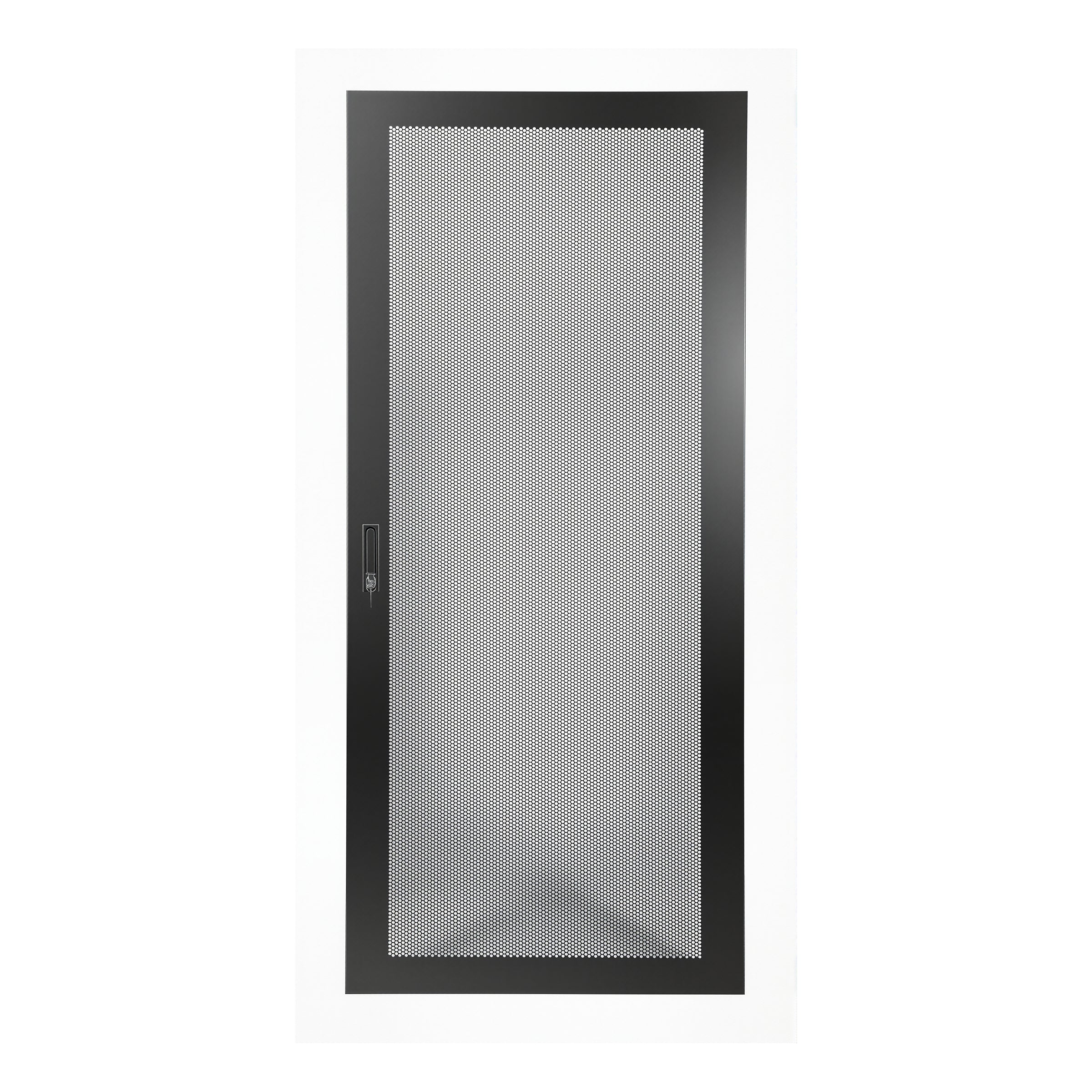 Mesh Door for 42RU 800W Cabinet - BW Only